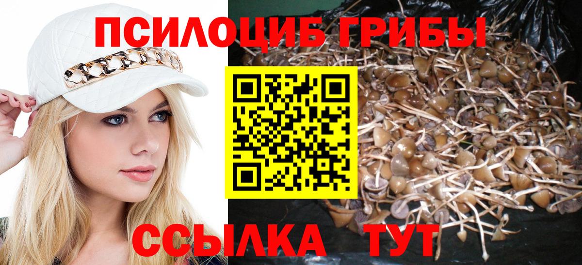 Псилоцибиновые грибы Magic Shrooms Ижевск